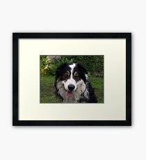 My Sweet Boy. Framed Print