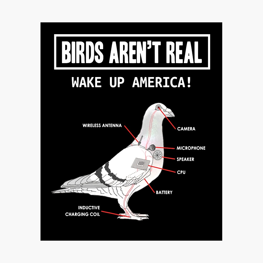 Birds Aren't Real Make Up America&quot; Poster by lynzihayvin55 | Redbubble