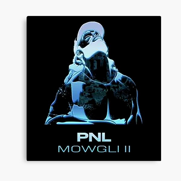 pnl boutique Impression sur toile