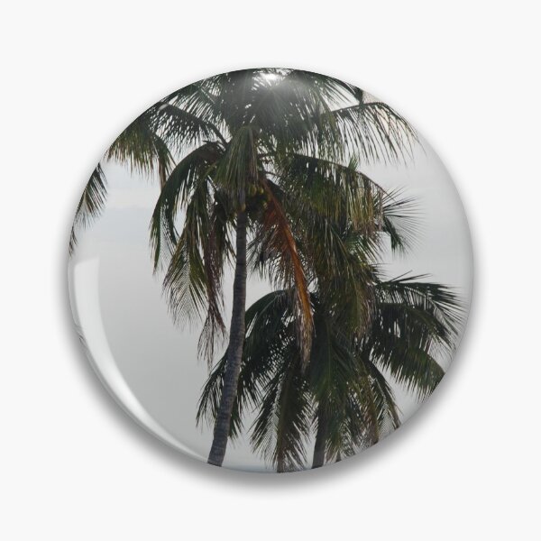 Item preview, Fort Myers Beach Palm Trees designed and sold by AttwoodImages.