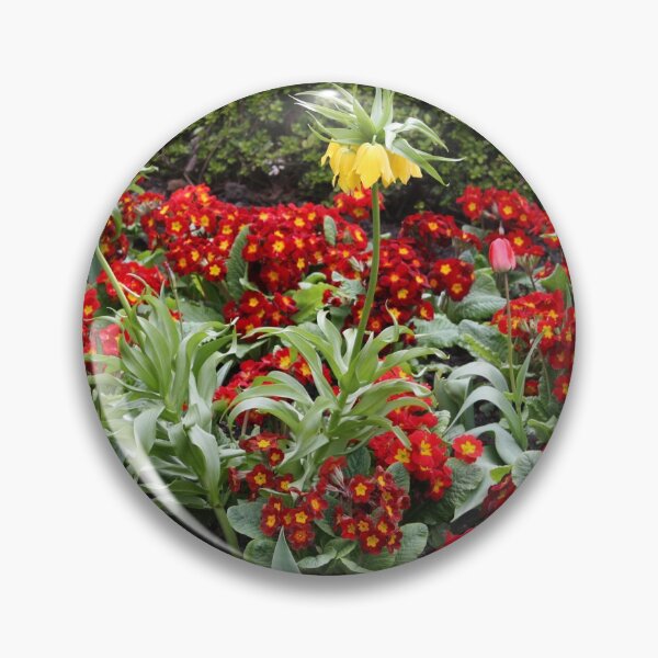 Item preview, Mostly Primulas designed and sold by tomg.