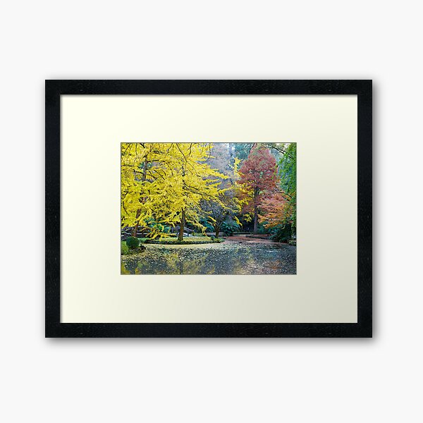 Item preview, Autumn, Alfred Nicholas Memorial Gardens, Victoria, Australia. designed and sold by johnrf.