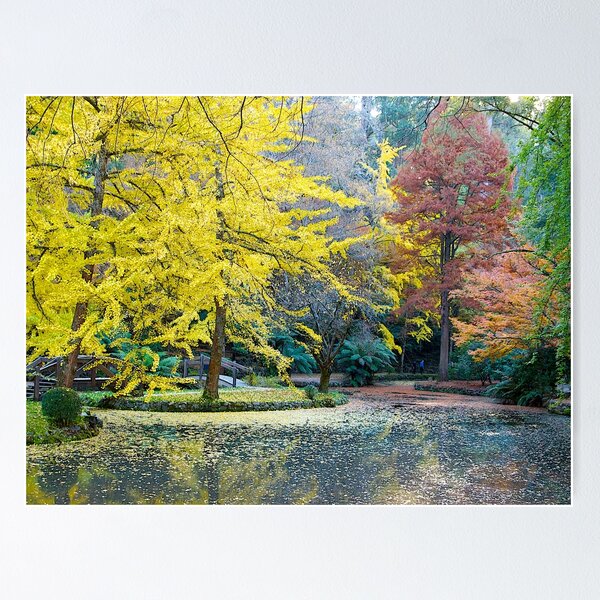 Item preview, Autumn, Alfred Nicholas Memorial Gardens, Victoria, Australia. designed and sold by johnrf.