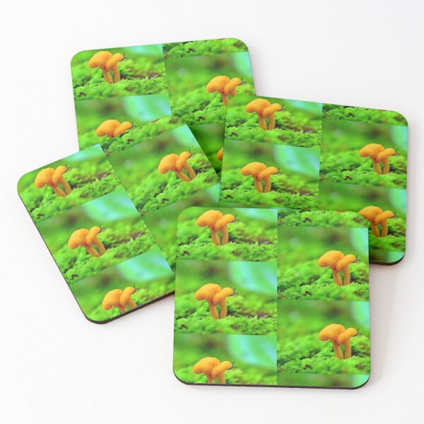 Item preview, Orange mushroom (chanterelle) visited by slug designed and sold by fungimages.
