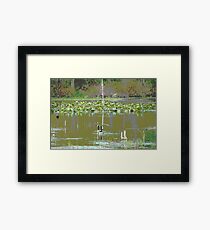 Marsh Waterfowl Framed Print