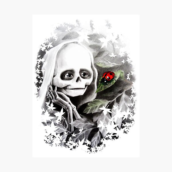 Ladybug Photographic Print