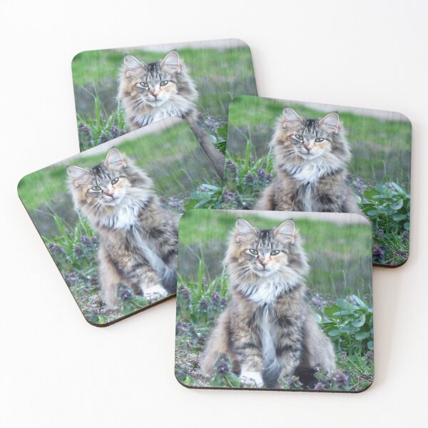 Item preview, Calico Cat designed and sold by Frankie Cat Photography.