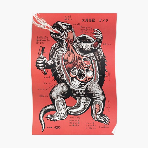 Gamera Anatomy Poster
