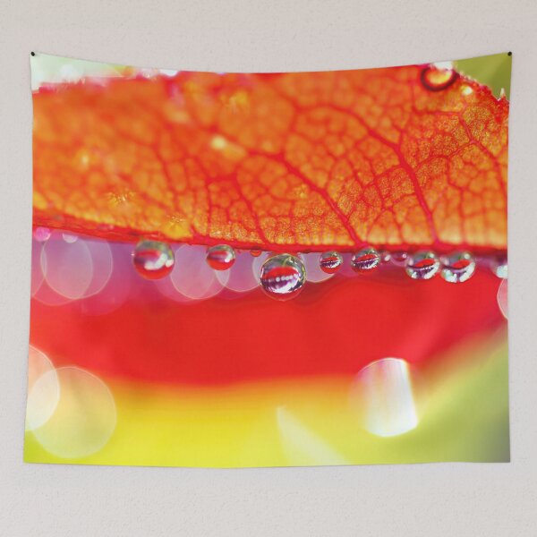 Item preview, A Kingdom of Colors designed and sold by JoaoAlmeidaShop.