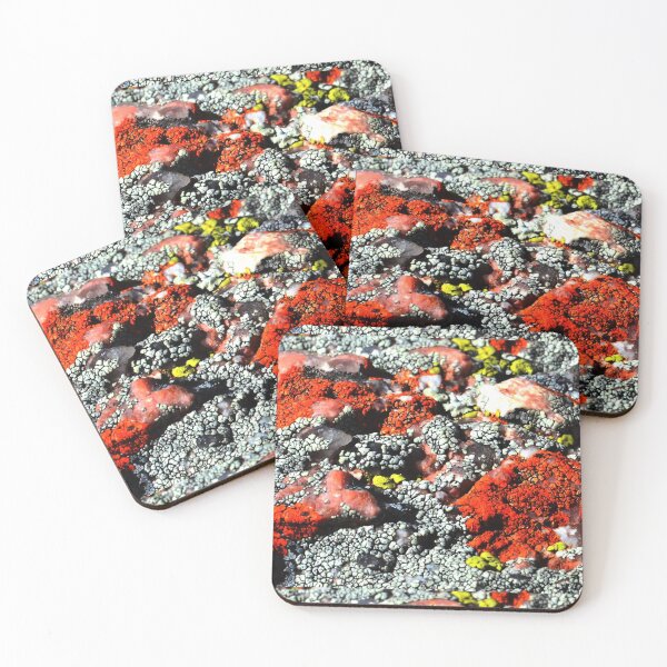 Item preview, red lichen at enchanted rock designed and sold by fungimages.