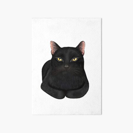 Cat mat for black cat Pet Mat for Sale by cesarhiar