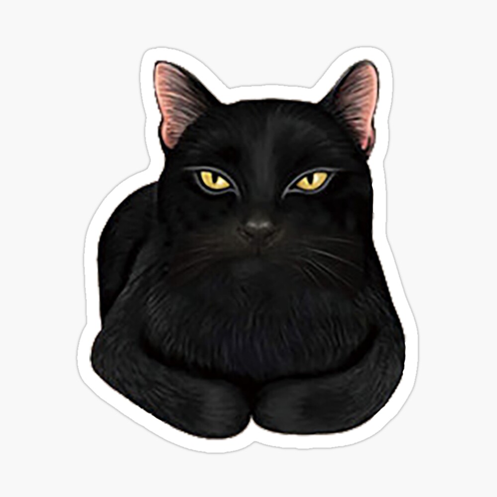 Cat mat for black cat Pet Mat for Sale by cesarhiar