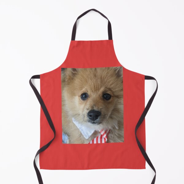 Item preview, Copy of Pomeranian puppy Kai designed and sold by Fluffycat2020.