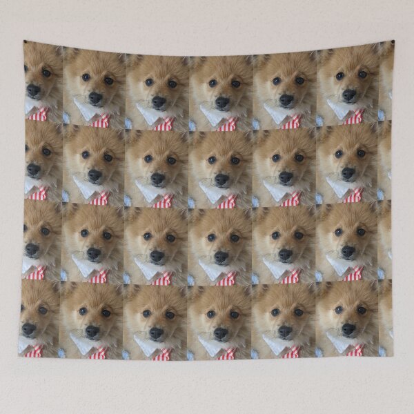 Item preview, Copy of Pomeranian puppy Kai designed and sold by Fluffycat2020.