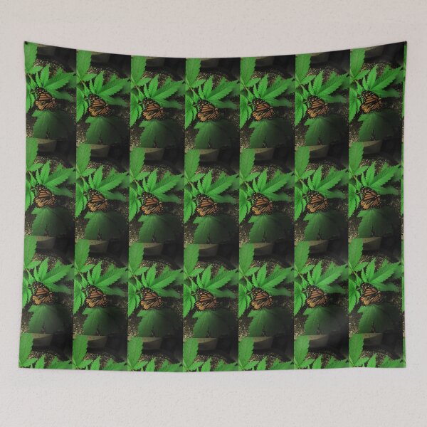 Item preview, Monarca encaramado en lo alto designed and sold by StarTreader.