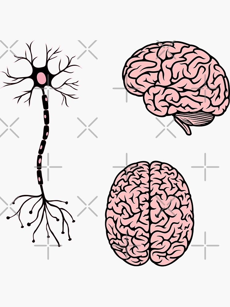 Pegatina Paquete Cerebro Flores Rosadas Neurociencia Salud Mental Psicología de pustelnik