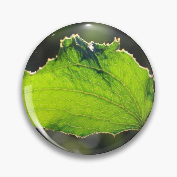 Item preview, Sandpaper Wattle designed and sold by MiCaPhotography.