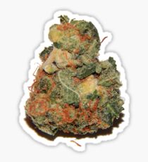 My Buddy #12 Sticker