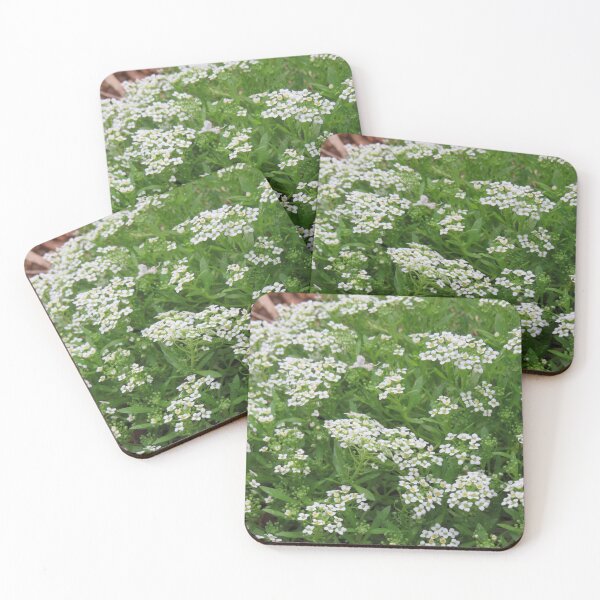 Item preview, White alyssum designed and sold by greentiger1.