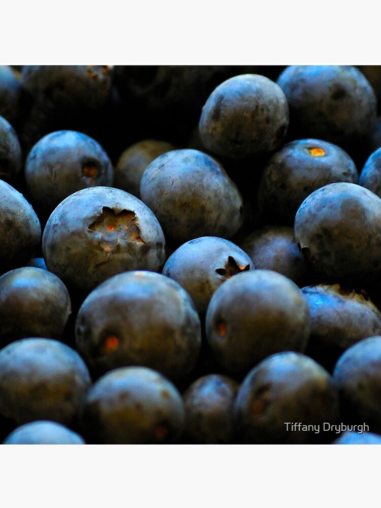 Thumbnail 3 of 3, Throw Pillow, Blueberries designed and sold by Tiffany Dryburgh.