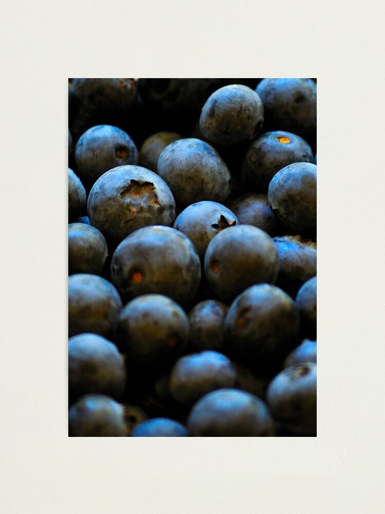 Alternate view of Blueberries Photographic Print