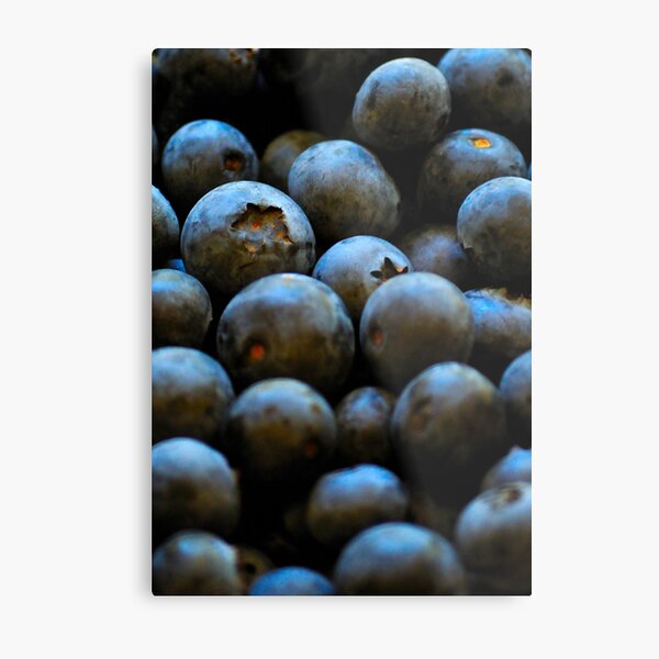 Metal Print