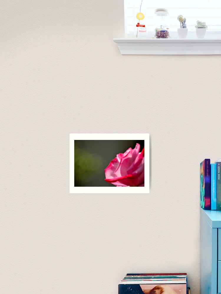 Thumbnail 1 of 3, Art Print, Dad's Rose designed and sold by Tiffany Dryburgh.
