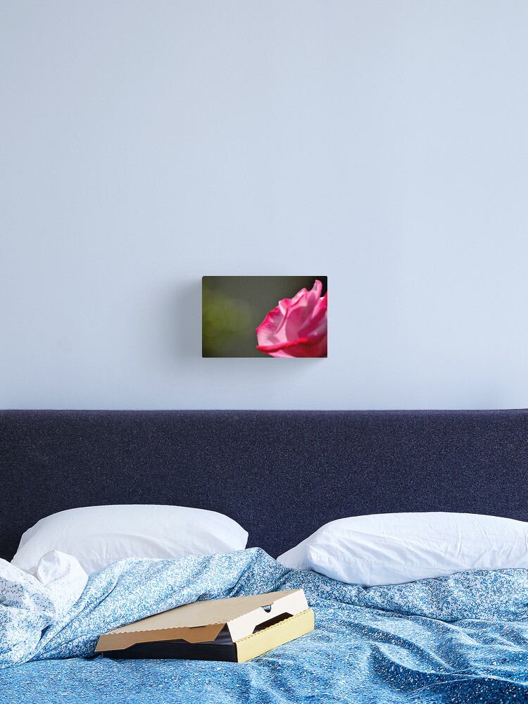 Thumbnail 1 of 3, Canvas Print, Dad's Rose designed and sold by Tiffany Dryburgh.