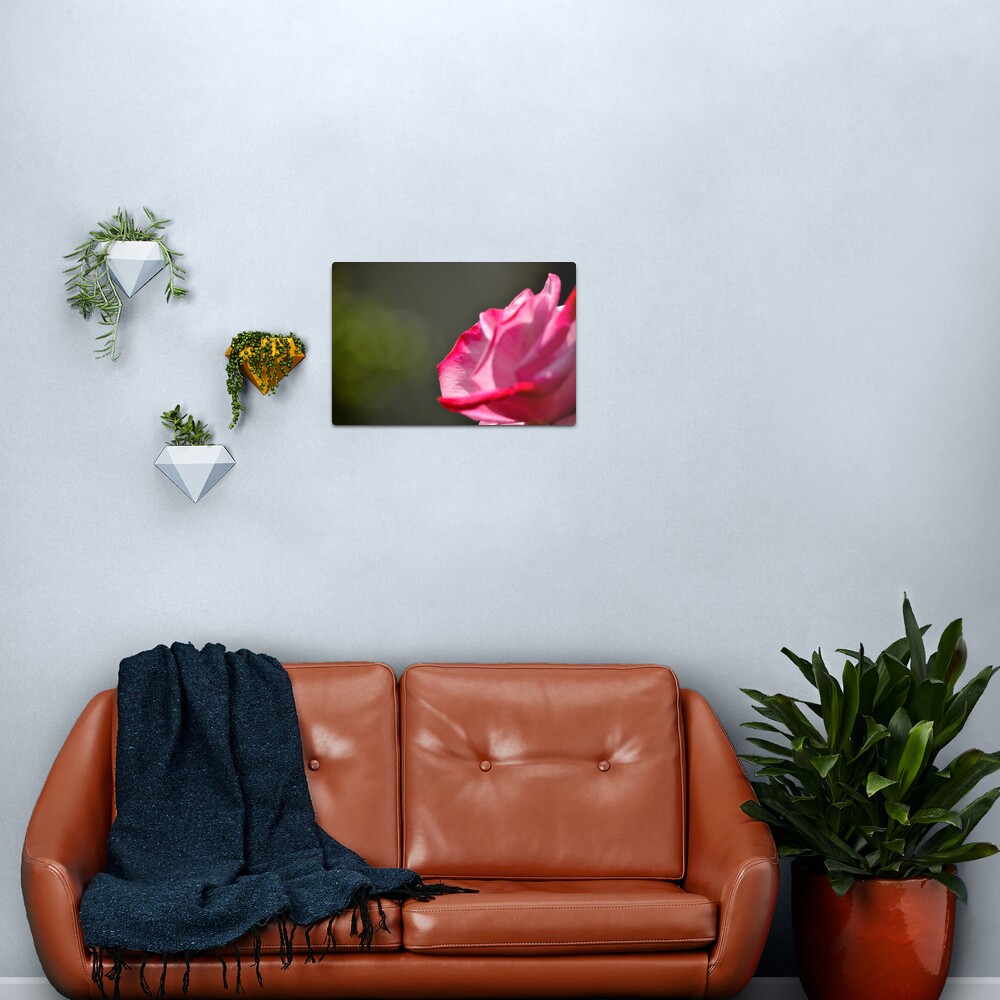 Dad's Rose Metal Print