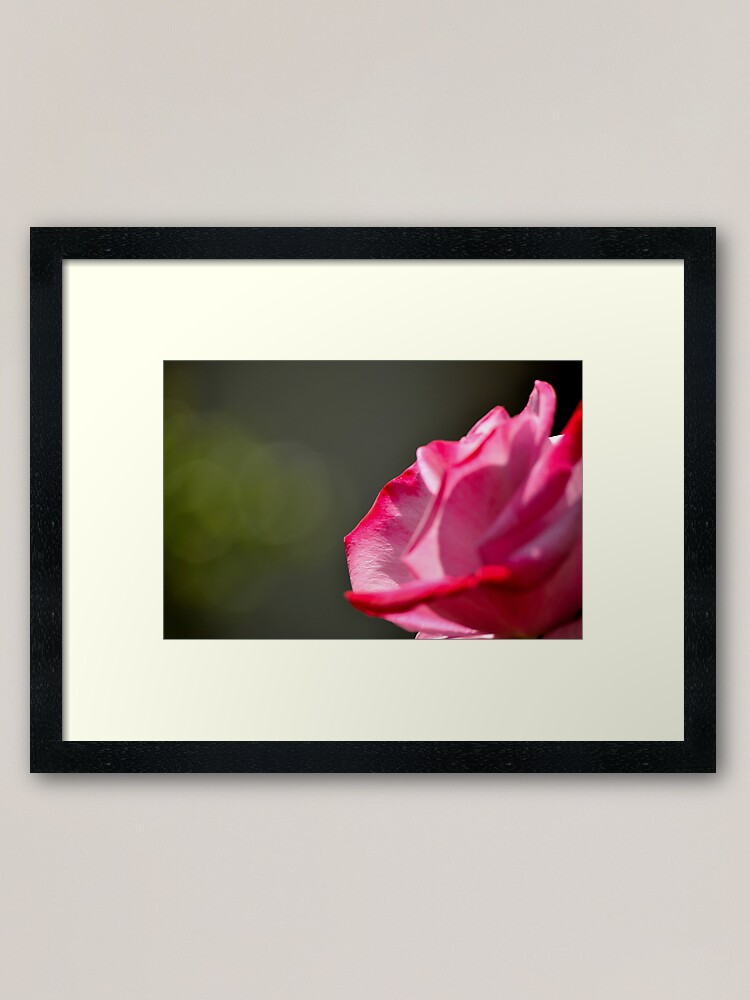 Alternate view of Dad's Rose Framed Art Print