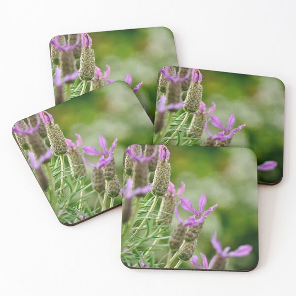 Item preview, Italian Lavender designed and sold by Tiffany Dryburgh.