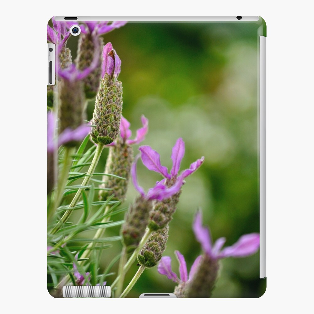 Item preview, iPad Snap Case designed and sold by Tiffany.