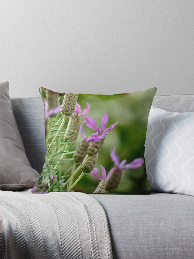 Thumbnail 1 of 3, Throw Pillow, Italian Lavender designed and sold by Tiffany Dryburgh.