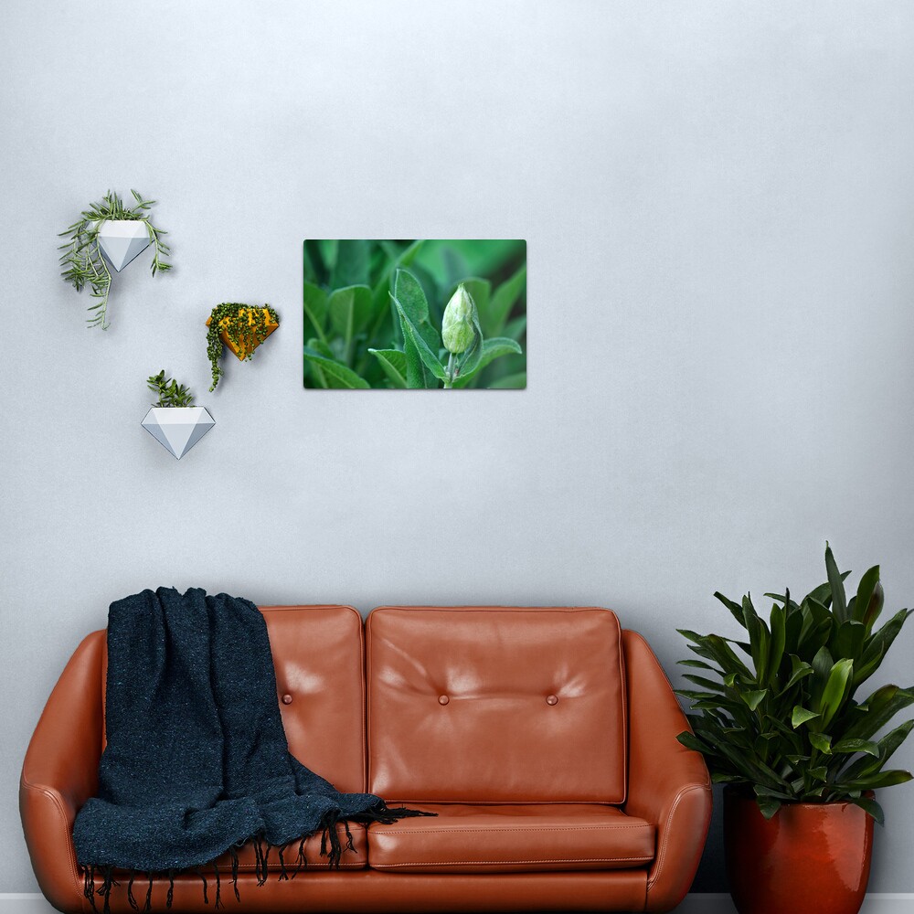 Sage Metal Print