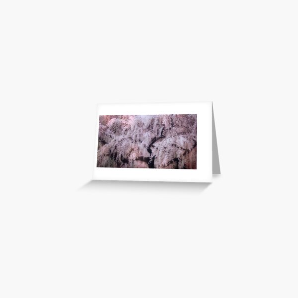 Item preview, Old cherry blossom tree in Kyoto designed and sold by DerekEntwistle.