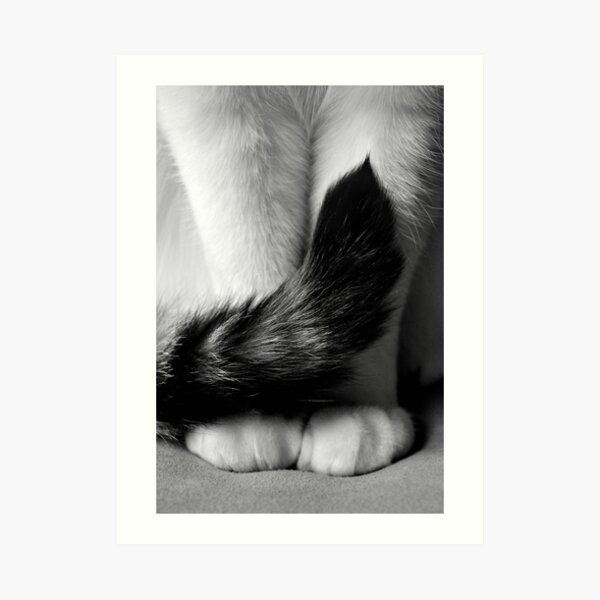 Sitting Pretty Art Print