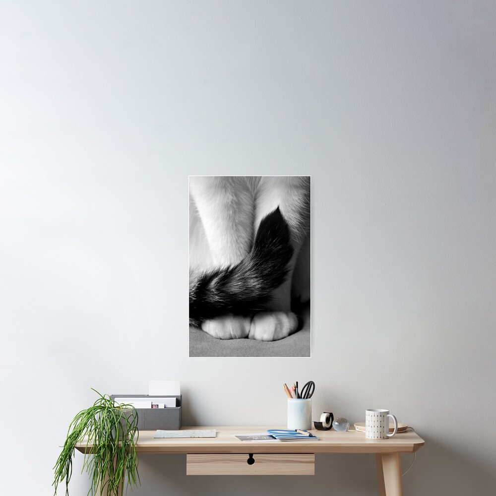 Sitting Pretty Poster