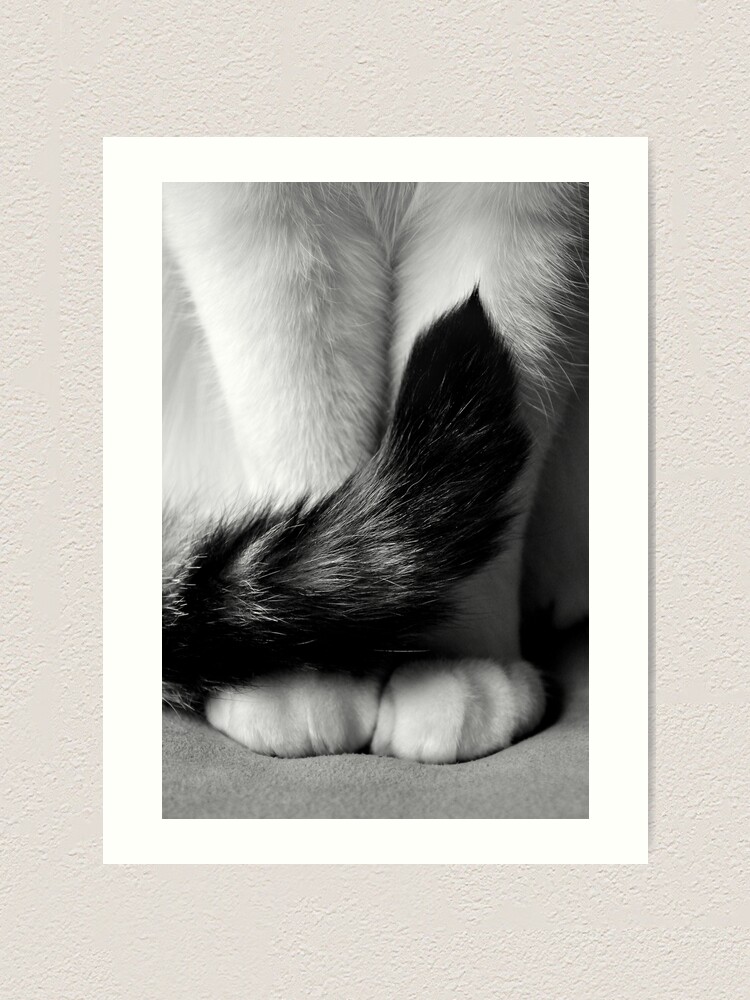 Alternate view of Sitting Pretty Art Print