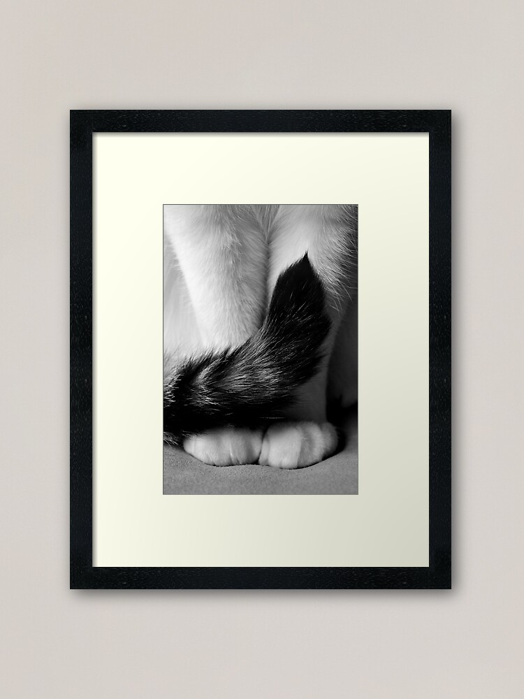 Alternate view of Sitting Pretty Framed Art Print
