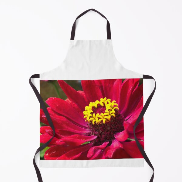 Item preview, Fuchsia Burst designed and sold by songbirdphoto.