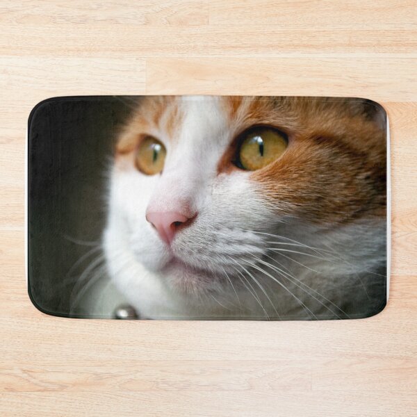 Item preview, Window Gazing designed and sold by Tiffany Dryburgh.