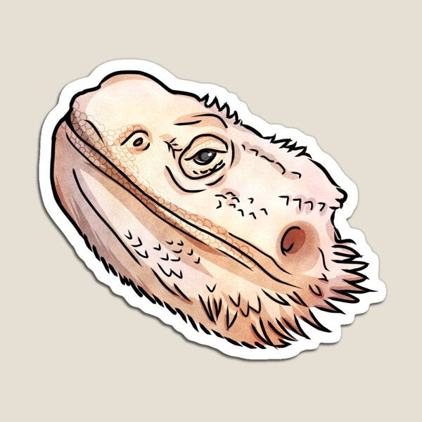 Item preview, kim’s bearded dragon  designed and sold by maddylovesolive.