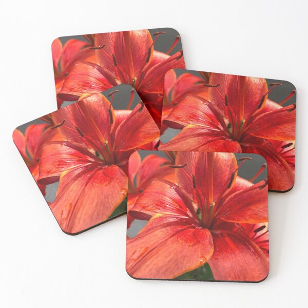 Item preview, Crimson Lily designed and sold by songbirdphoto.