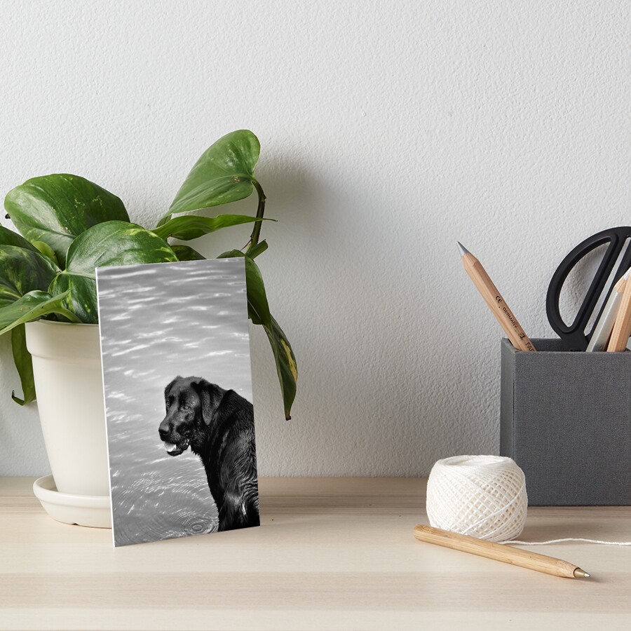 Item preview, Art Board Print designed and sold by Tiffany.