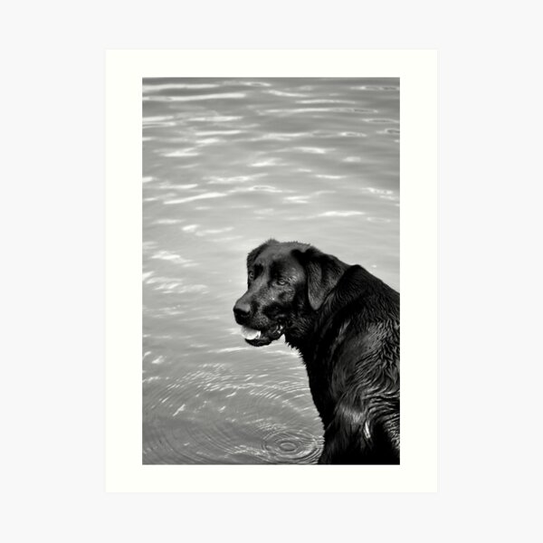 Art Print