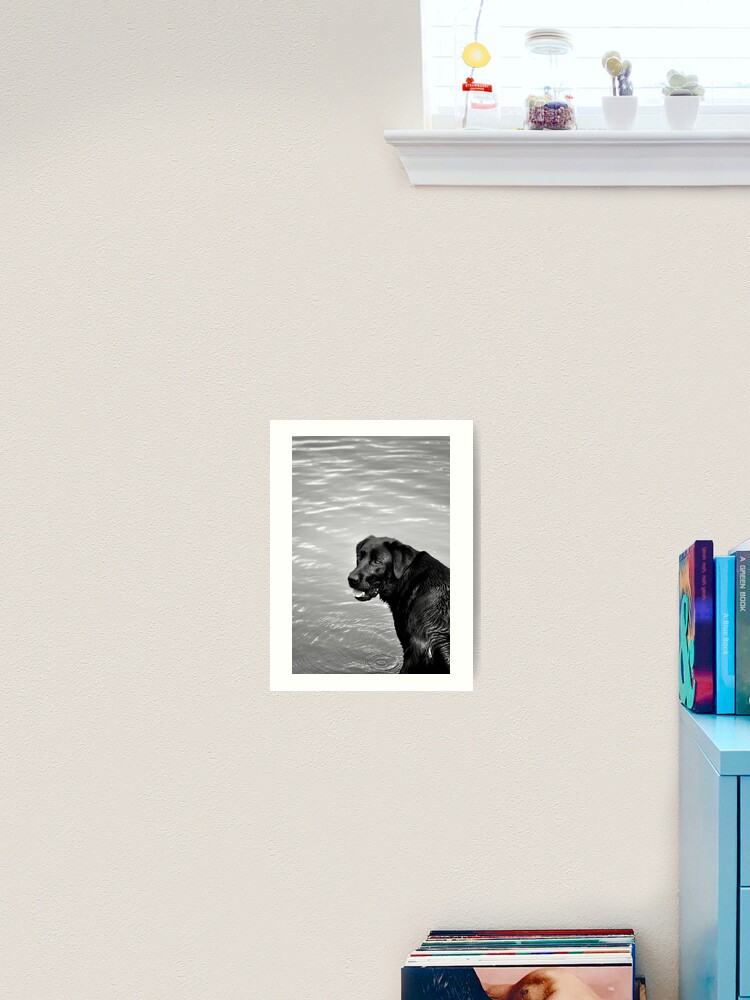 Thumbnail 1 of 3, Art Print, throw the stick, throw the stick...! designed and sold by Tiffany Dryburgh.