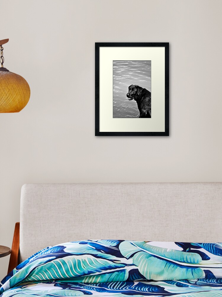 Thumbnail 1 of 7, Framed Art Print, throw the stick, throw the stick...! designed and sold by Tiffany Dryburgh.