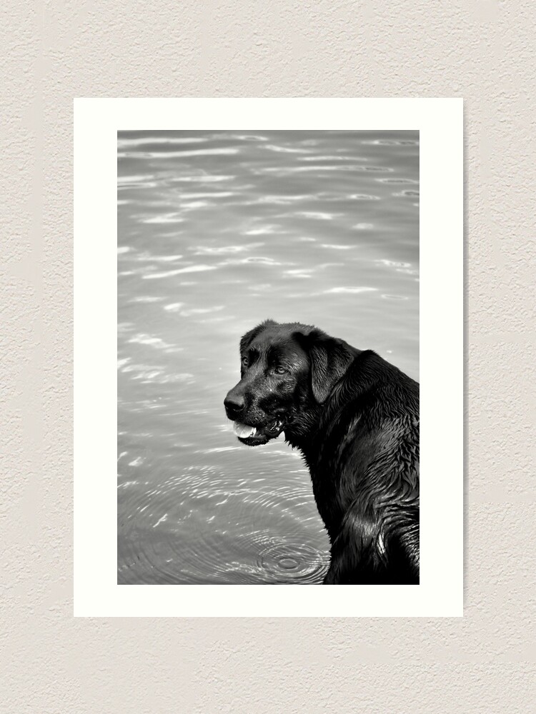 Thumbnail 2 of 3, Art Print, throw the stick, throw the stick...! designed and sold by Tiffany Dryburgh.