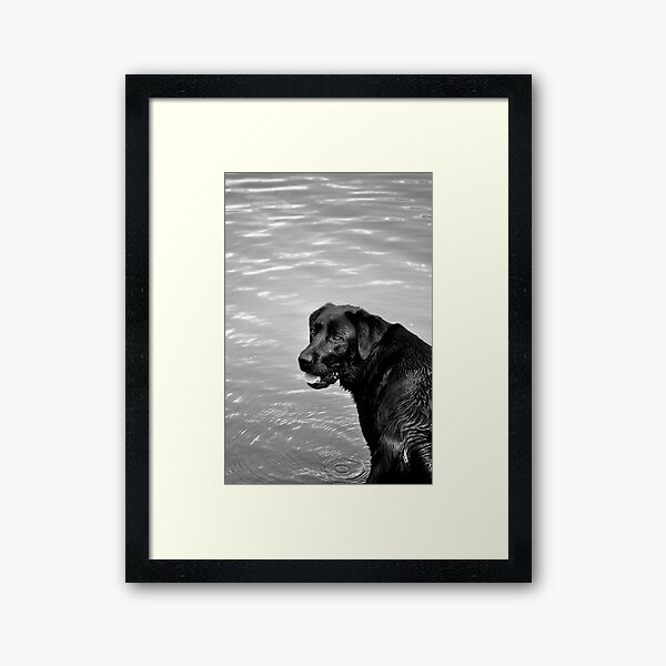 Framed Art Print