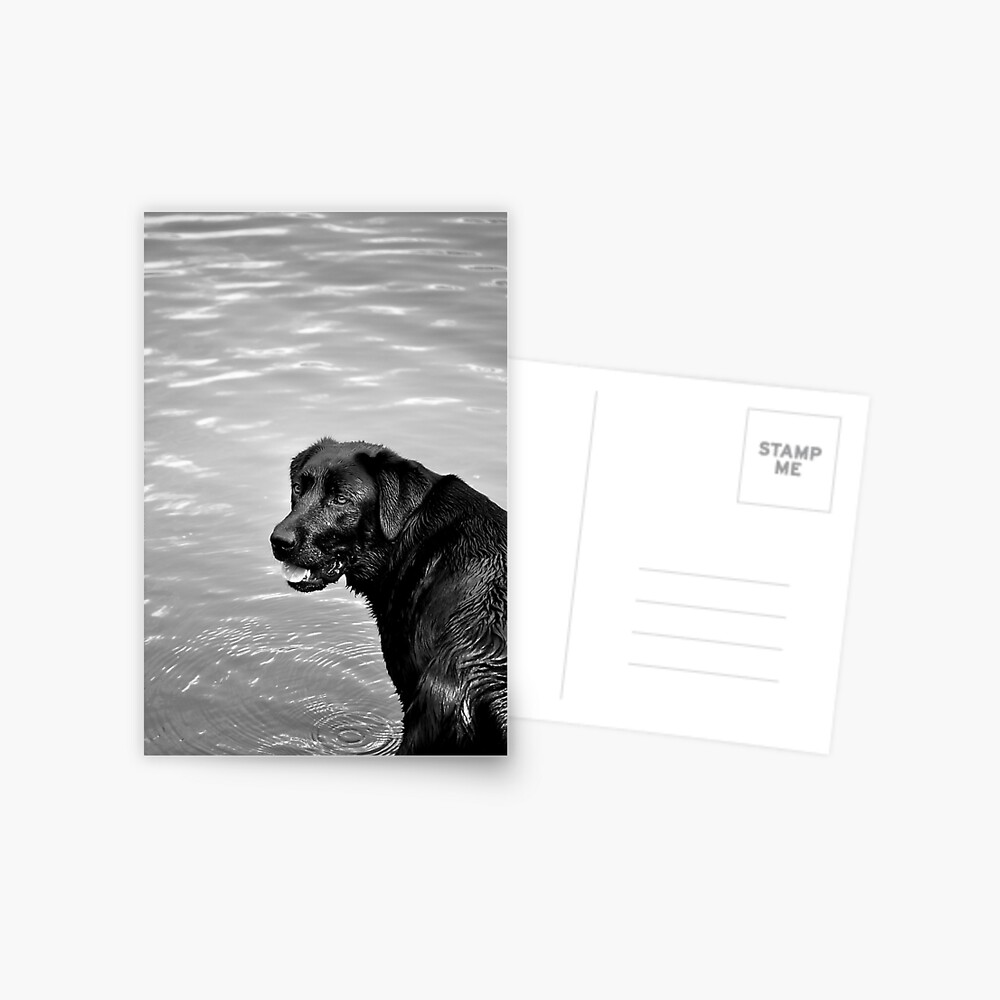 Item preview, Postcard designed and sold by Tiffany.